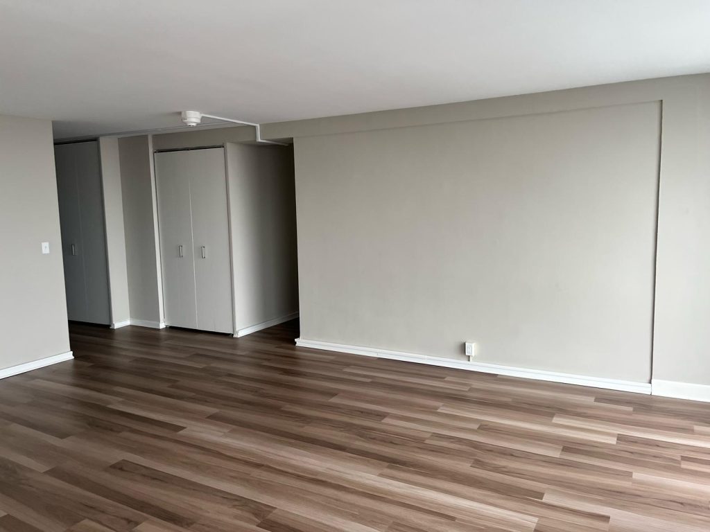 Empty interior space with light-colored walls and wooden flooring, featuring a closet and an open layout, showcasing potential for framing and drywall services by Framing to Drywall.